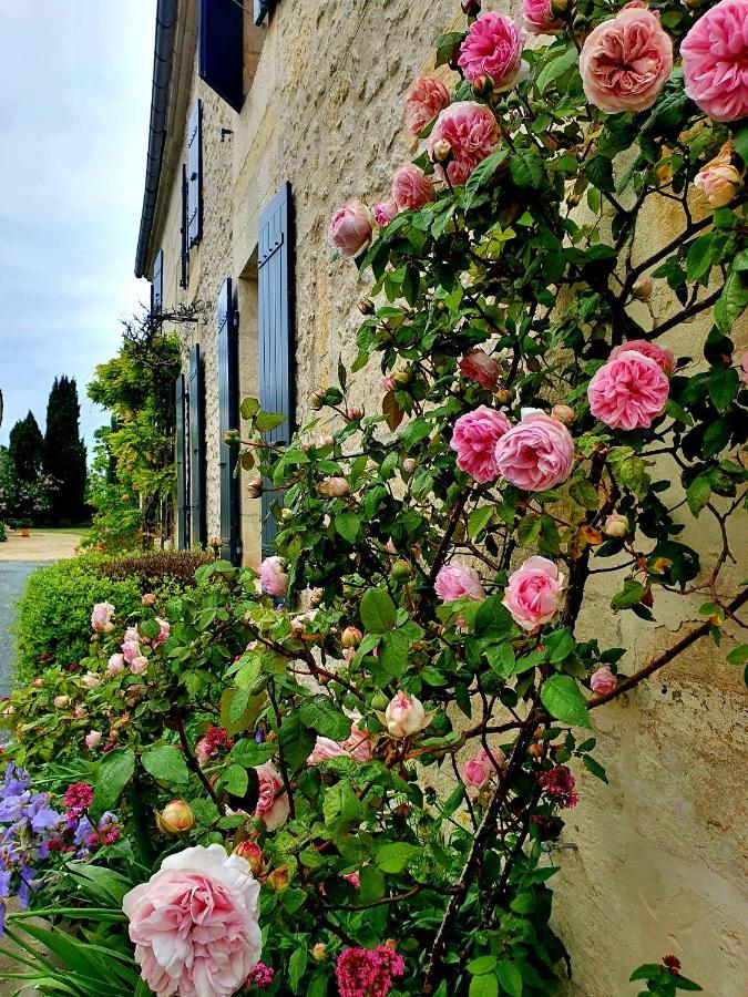 Le Clos de l'Amiral Preguillac Extérieur photo